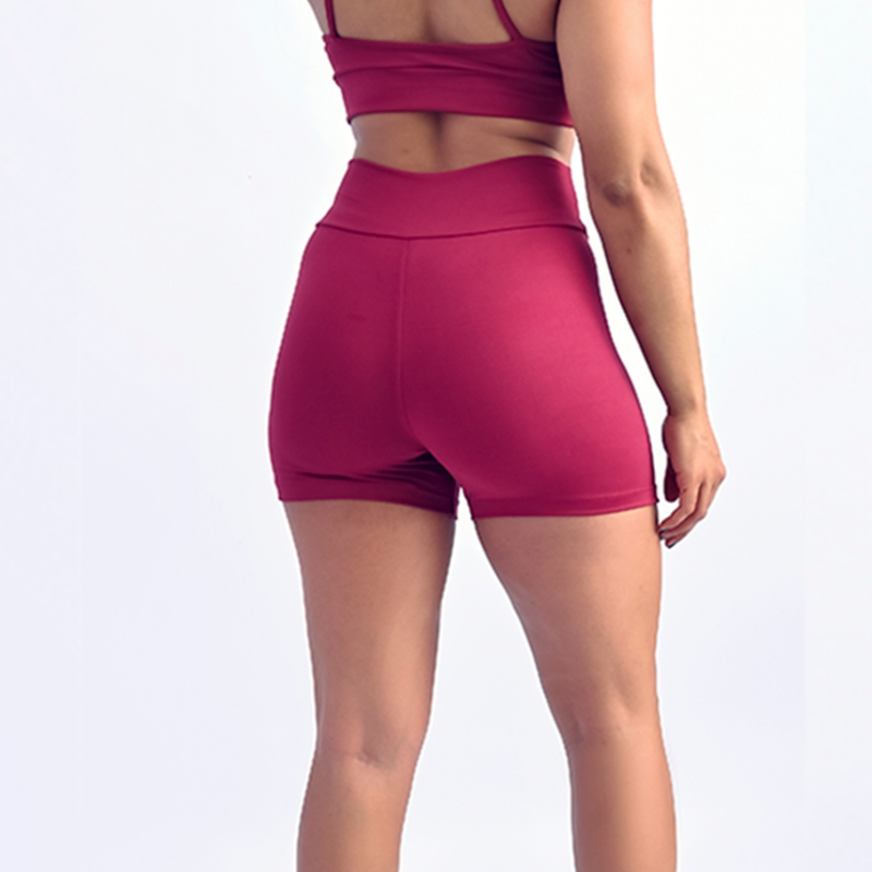 Kit 2 Conjuntos De Academia Feminino Short e Top Roupa Fitness Zero Transparência